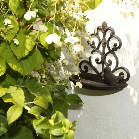 Witte Huuske بيت للعطل إمدن